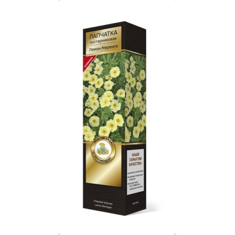 Лапчатка Лемон Меренга (Поиск) кустарниковая