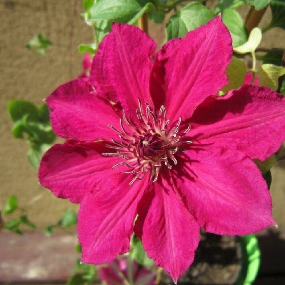 Перидаdt37m1d8imt7tii8vg67d8cwj2b7um0d