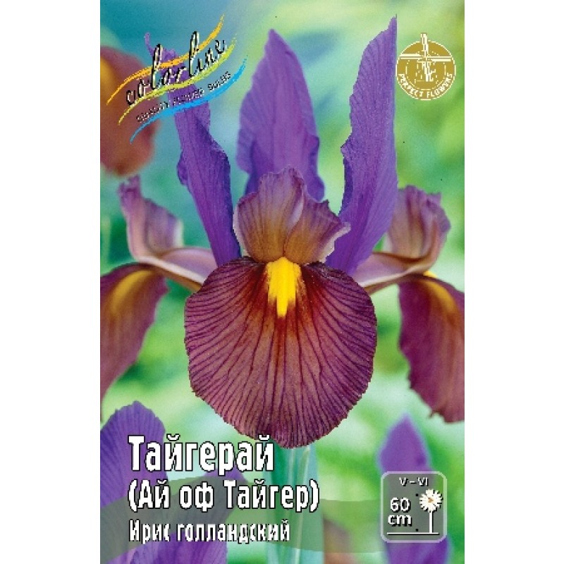 Ирис Тайгерай (ИС) 5 эконом