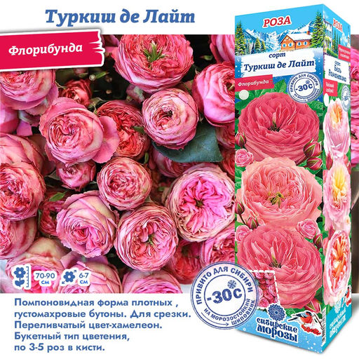 Роза туркиш де лайт