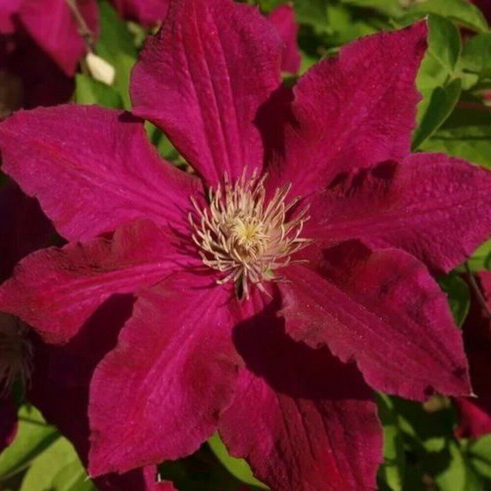 Солидарностьq9ky26hs9vzvnax3jvn0s66flkaepqkw