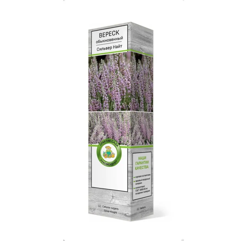 Вереск Сильвер найт (Поиск)