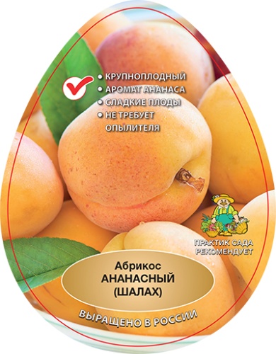 Абрикос Ананасный эт
