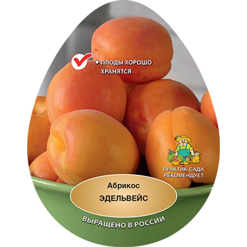 Абрикос Эдельвейс (Поиск) 2х-летка этикетка