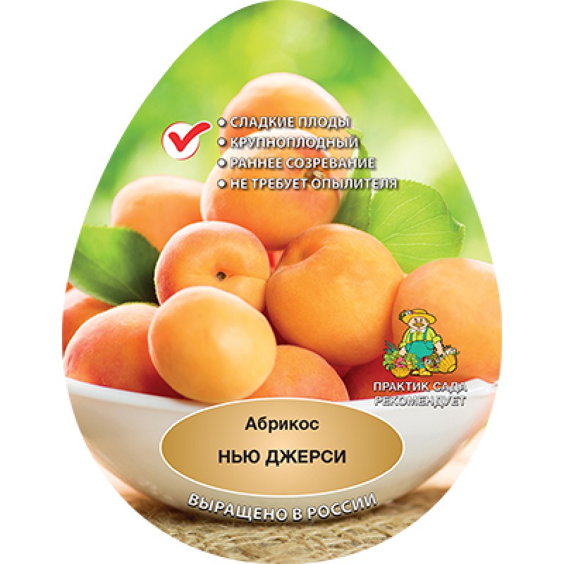 Абрикос Нью Джерси (Поиск) 2х-летка этикетка