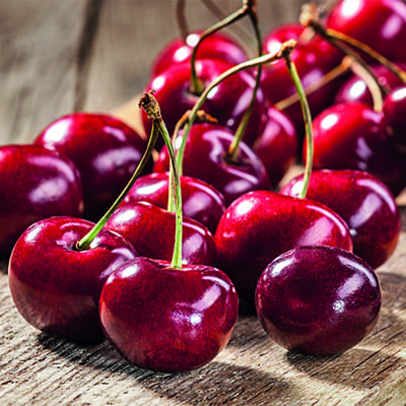 Черешня Свитхарт (Поиск) 2х-летка этикетка