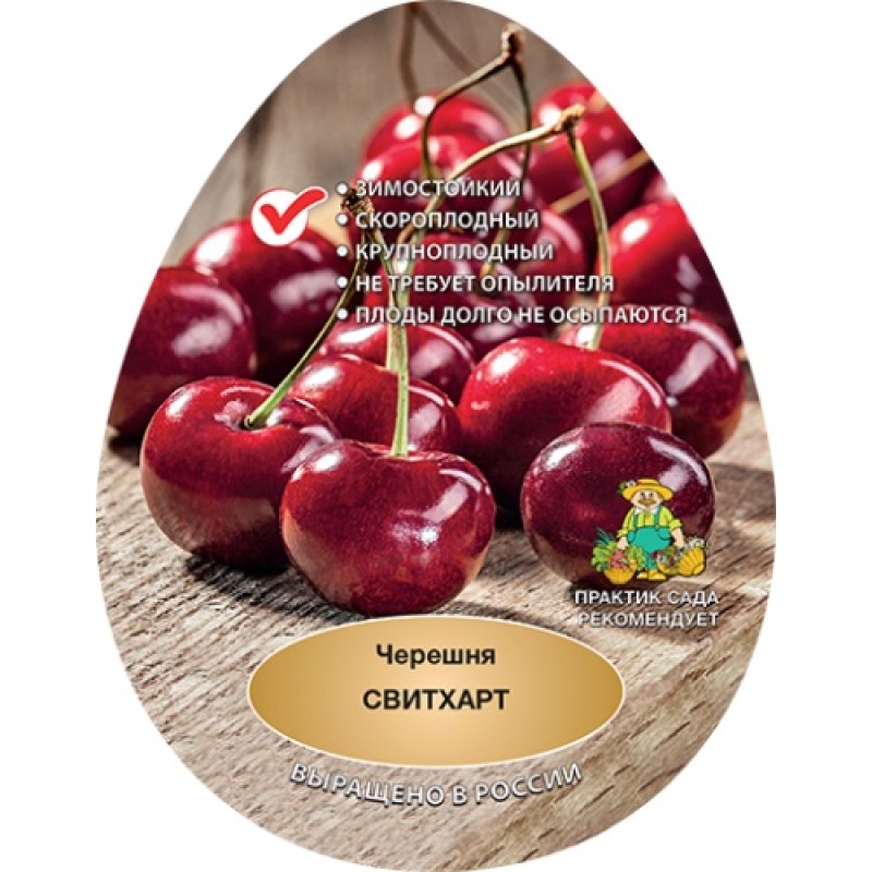 Черешня Свитхарт (Поиск) этикетка