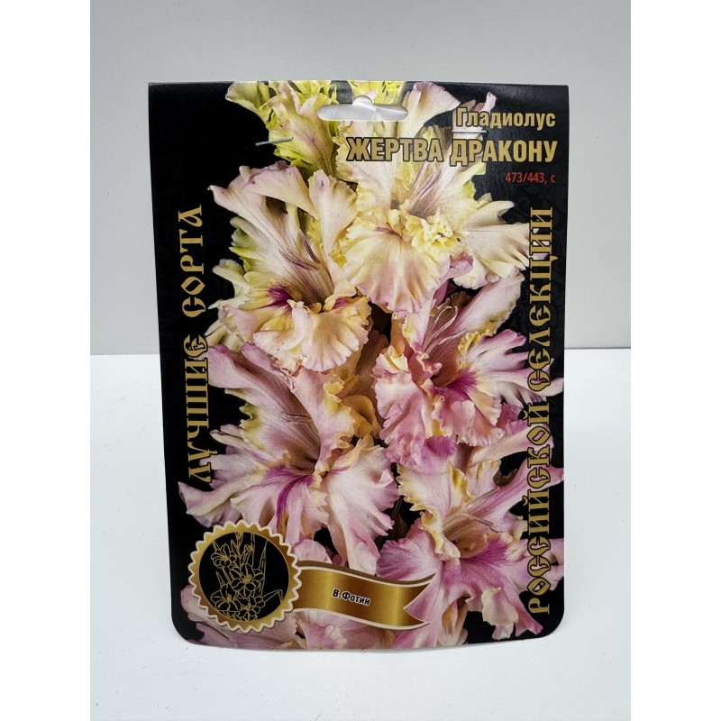 Гладиолус Жертва дракону (Сиб.сад) 7/1р-р