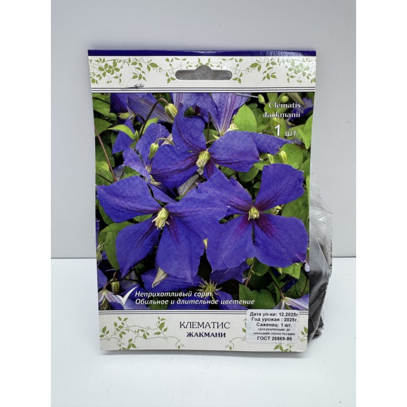 Клематис Жакмани (Поиск) капер