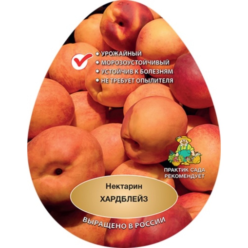 Нектарин Хардблейз (Поиск) этикетка