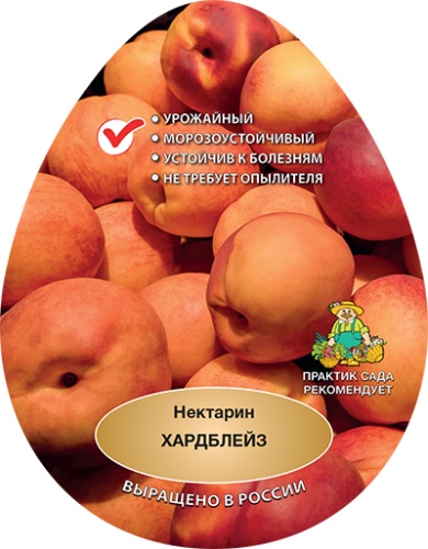 Нектарин хардблейз