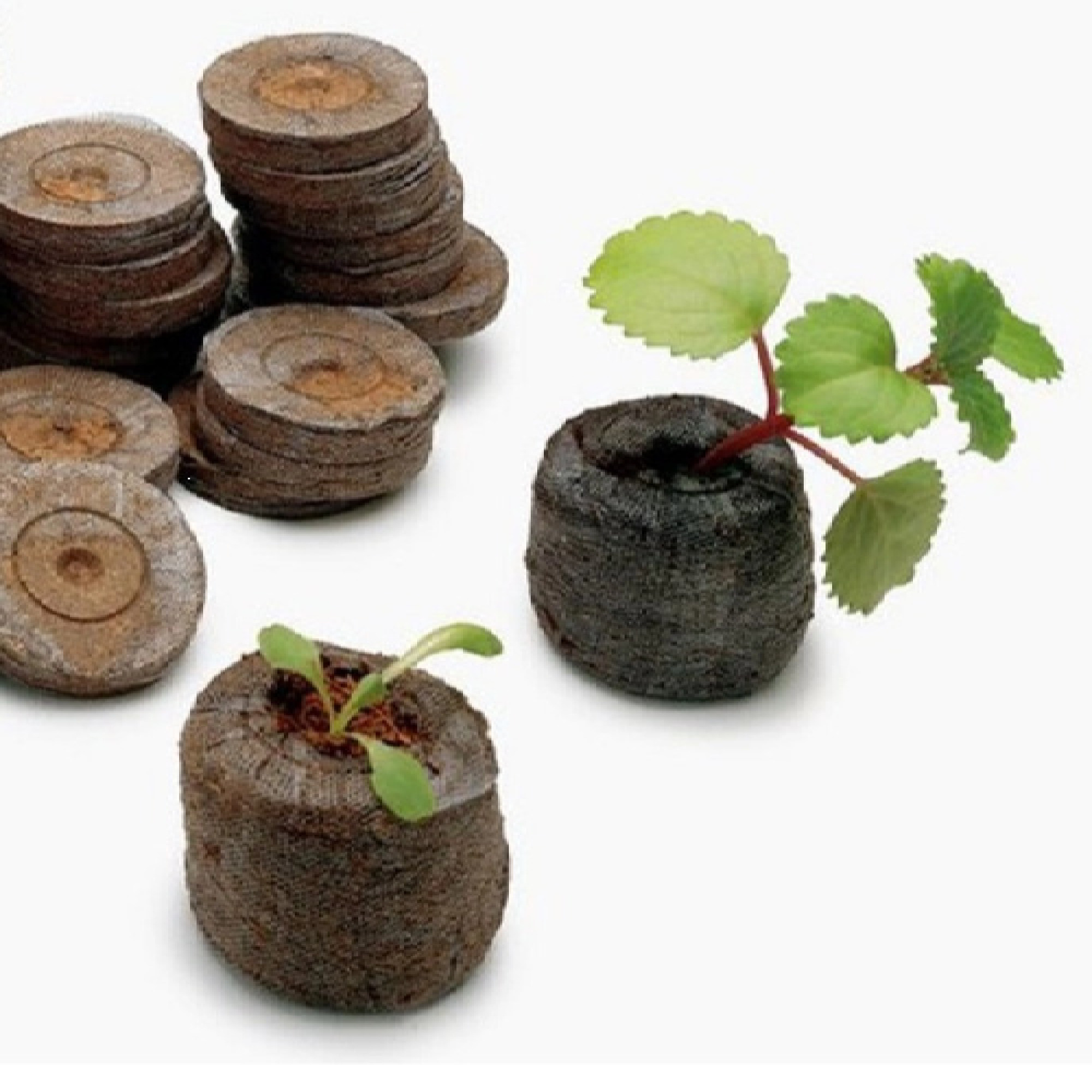 таблетки Jiffy