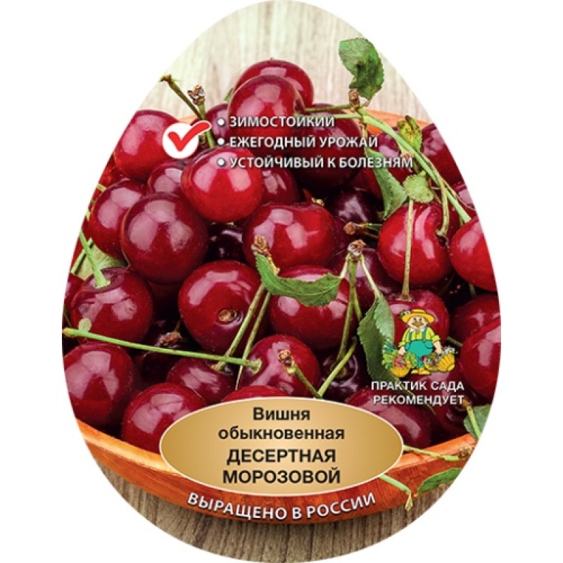 Вишня Десертная Морозовой (Поиск) этикетка подвой клоновый Измайловский