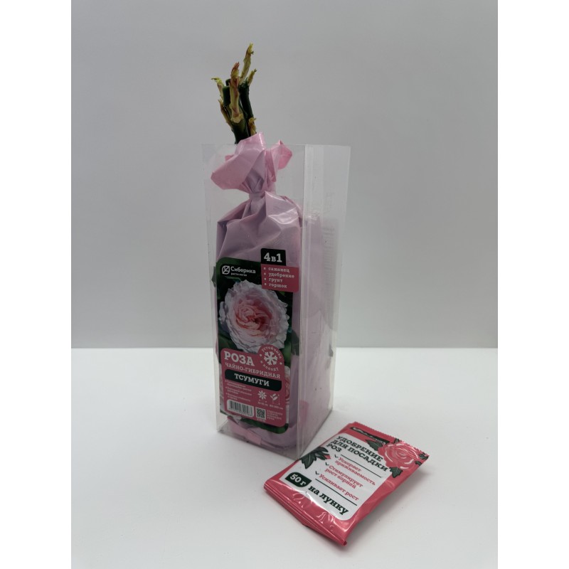 Роза Тсумуги (Сиберика)