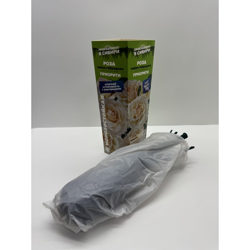 Роза Приорити (Сем.Алтая)