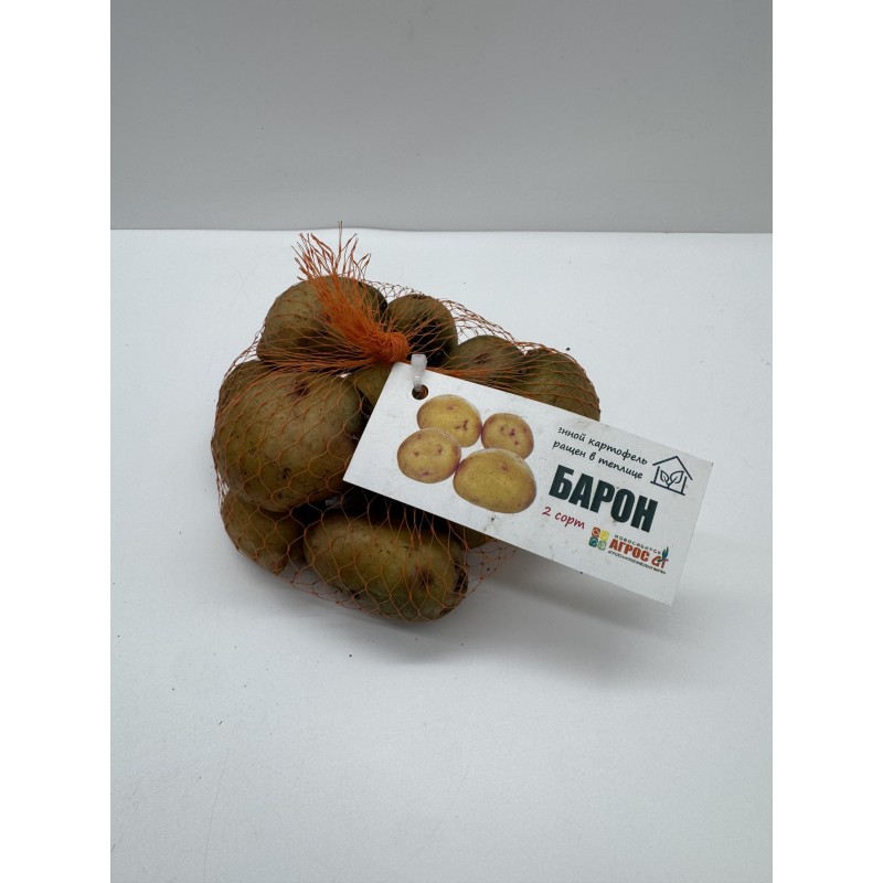 Картофель Барон 2 категория (тепличный) (Агрос) 10шт/уп