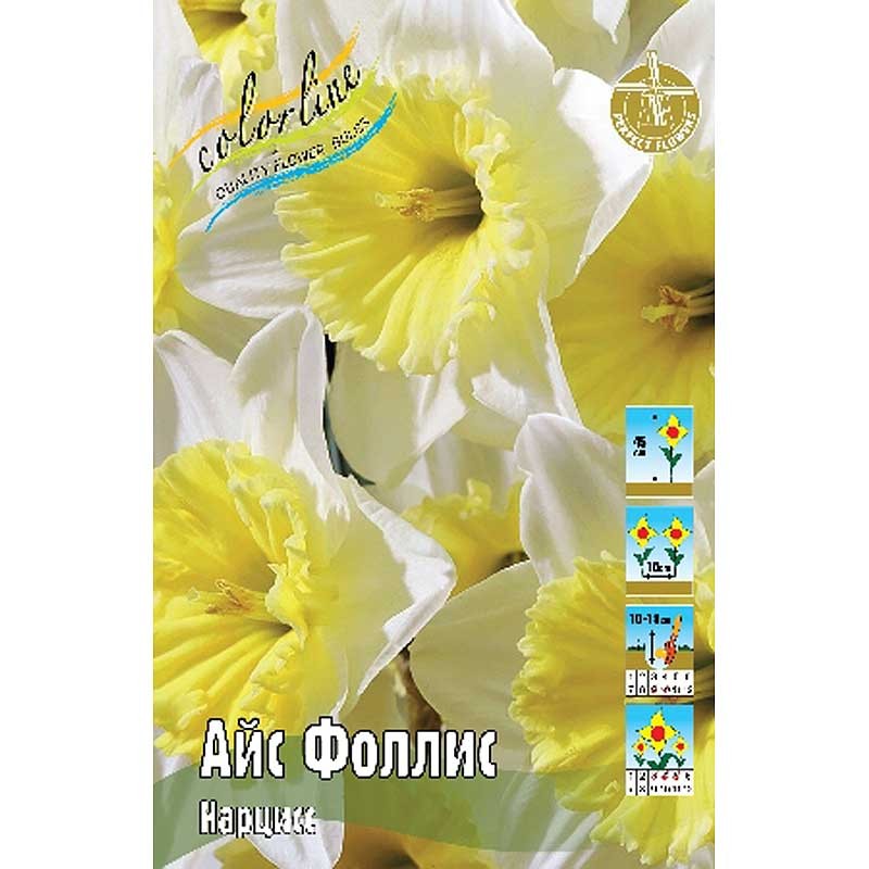 Нарциссы Айс Фоллис (ИС) 2 эконом