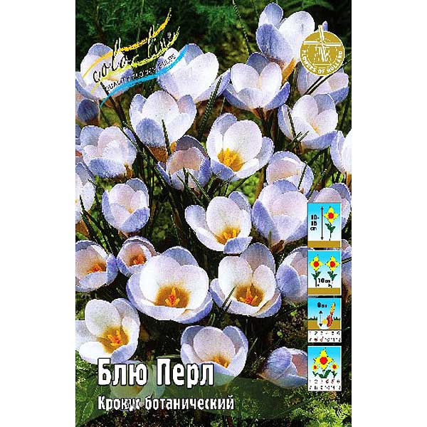 Блю перл