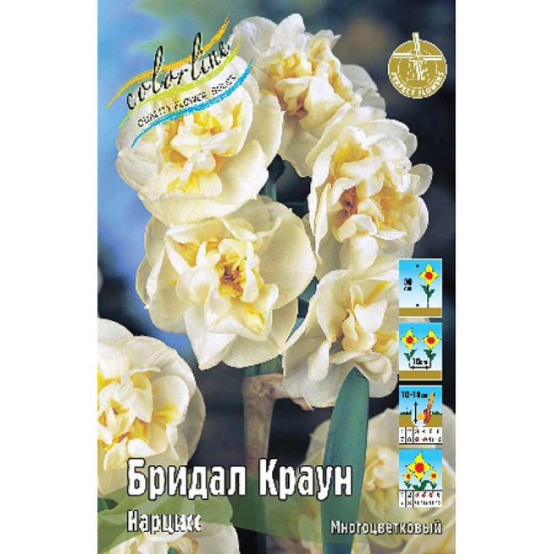 Нарциссы Бридал Краун (ИС) 2 эконом