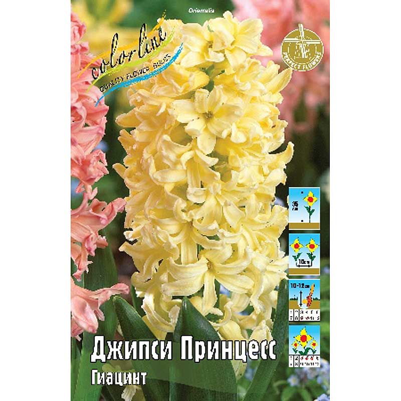 Джипси принцесс