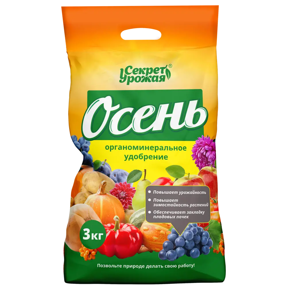 Осень секрет урожая