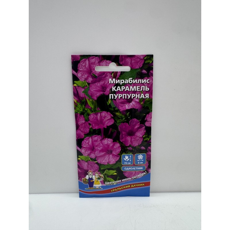 Цв.Мирабилис Карамель пурпурная (УД)